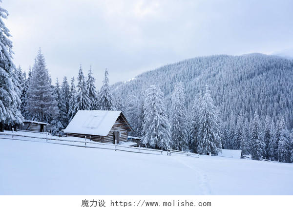 在森林里山上覆盖着雪还有孤独老木屋二十四节气立冬小雪大雪冬至小寒大寒
